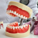 a full mouth model showcasing a single tooth extraction.